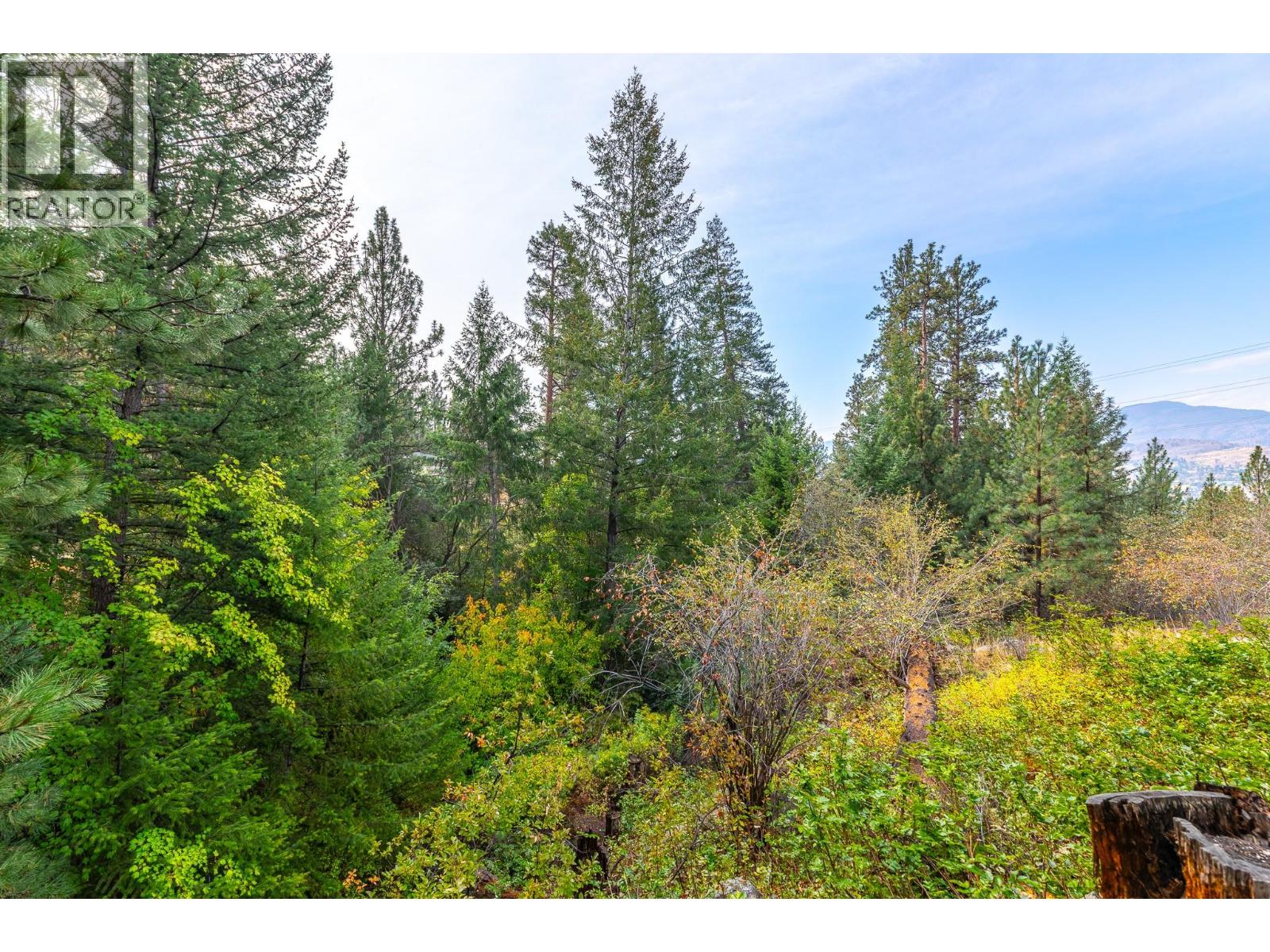 201 Sunnybrook Drive, Okanagan Falls, British Columbia  V0H 1R0 - Photo 54 - 10399020