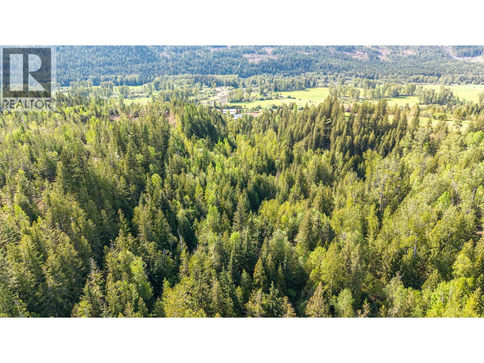 81 Acres Sigalet Road, Lumby, British Columbia  V0E 2G6 - Photo 9 - 10399432