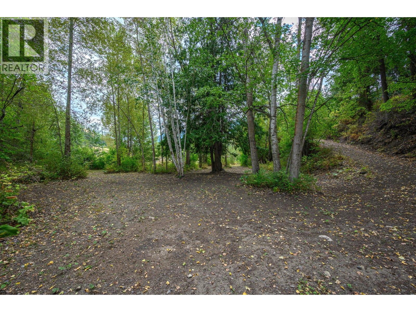4446 Cedar Hill Road, Falkland, British Columbia  V0E 1W1 - Photo 55 - 10399387