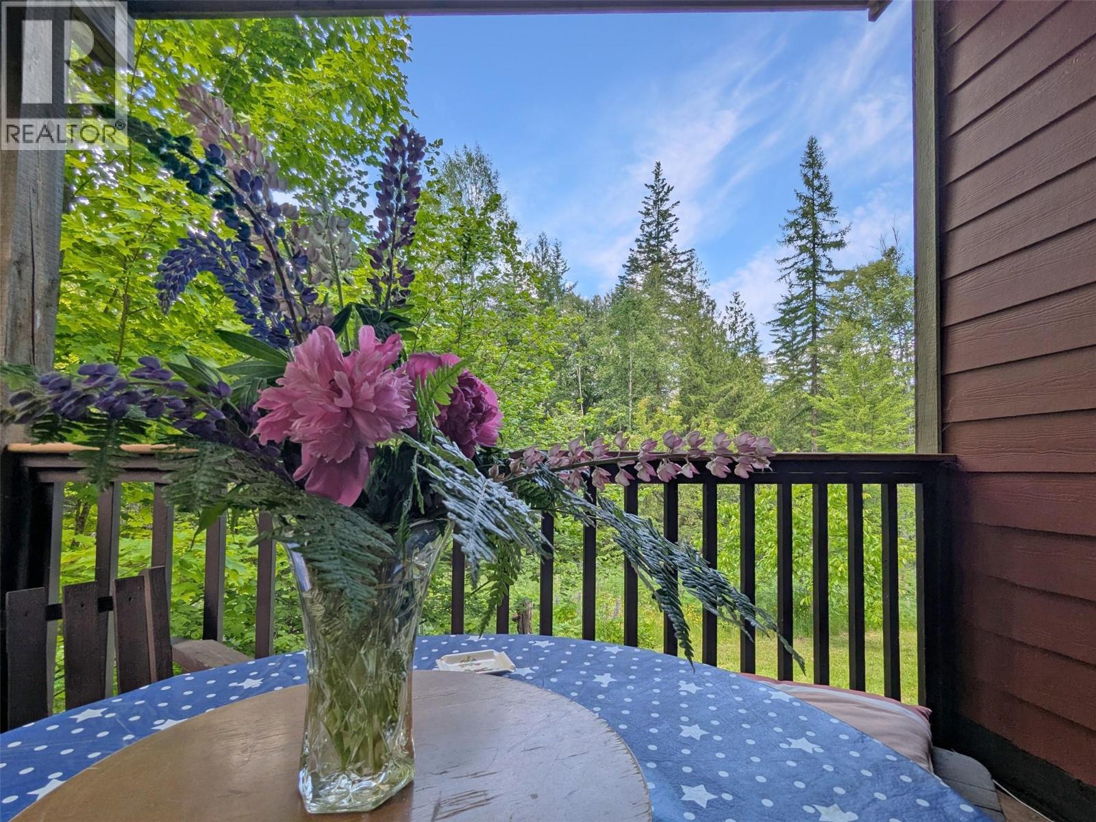 8802 Martens Road, Slocan, British Columbia  V0G 2C0 - Photo 22 - 10399861