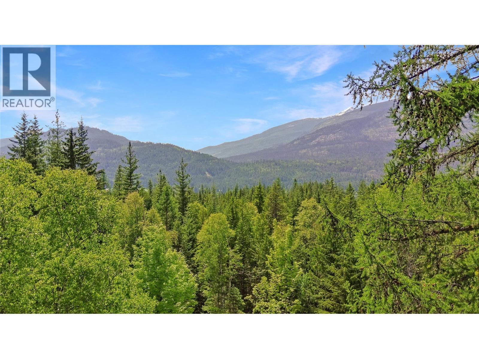 8802 Martens Road, Slocan, British Columbia  V0G 2C0 - Photo 6 - 10399861