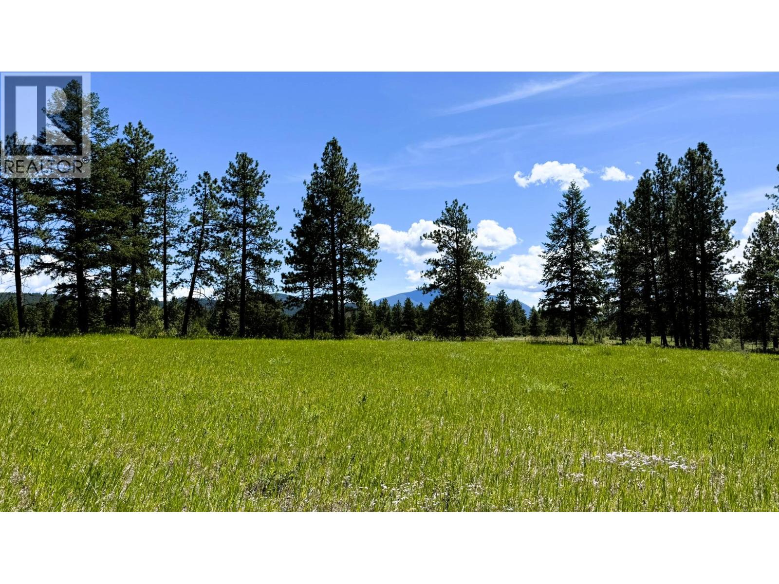 4836 Kennedy Road Lot# 2, Cranbrook, British Columbia  V1C 7C1 - Photo 69 - 10399659