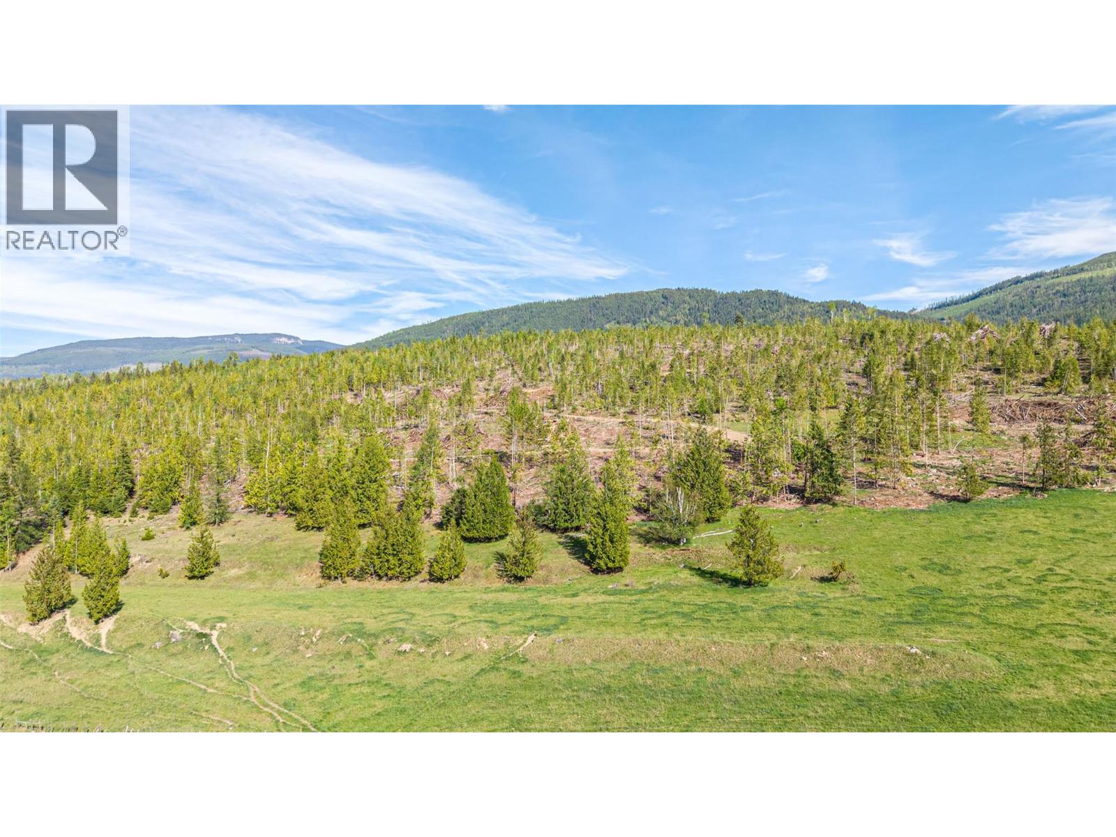 2465 Mabel Lake Road, Lumby, British Columbia  V0E 2G6 - Photo 21 - 10399522