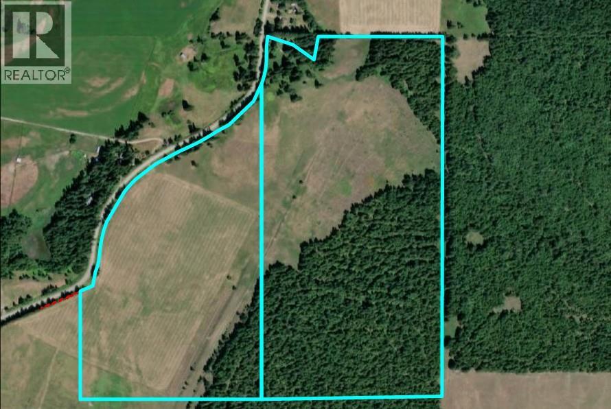 2465 Mabel Lake Road, Lumby, British Columbia  V0E 2G6 - Photo 5 - 10399522