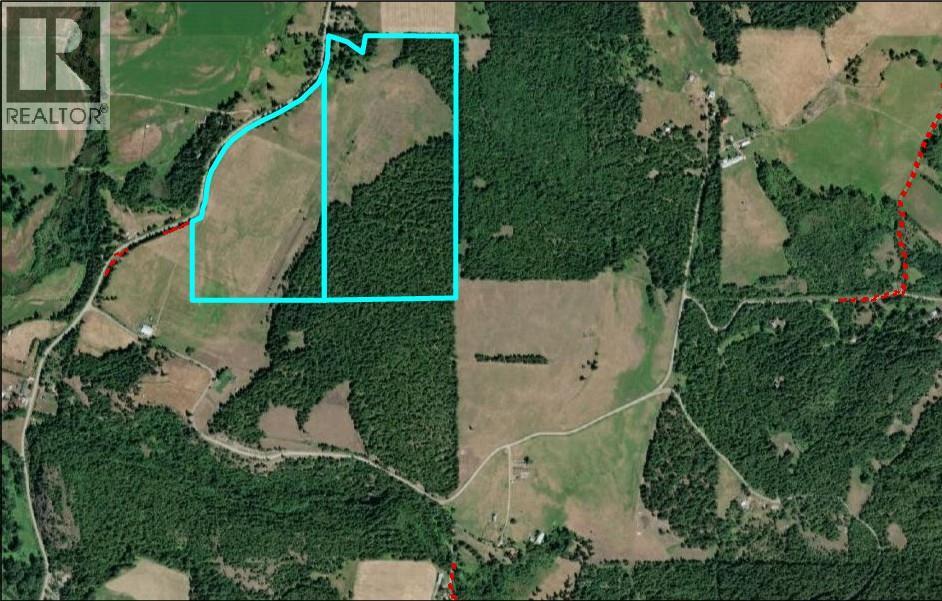 2465 Mabel Lake Road, Lumby, British Columbia  V0E 2G6 - Photo 6 - 10399522