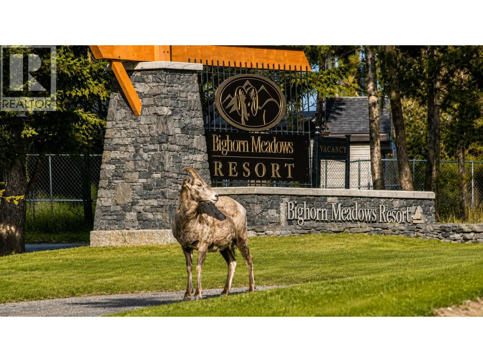 200 Bighorn Boulevard Unit# 213 D, Radium Hot Springs, British Columbia  V0A 1M0 - Photo 63 - 10399642