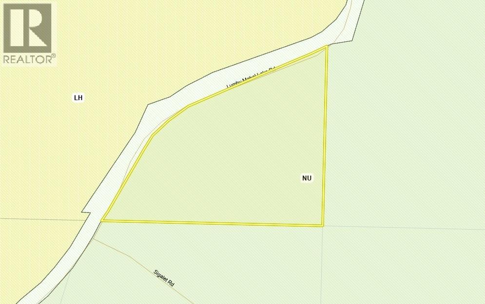 2511 Mabel Lake Road, Lumby, British Columbia  V0E 2G6 - Photo 8 - 10399499