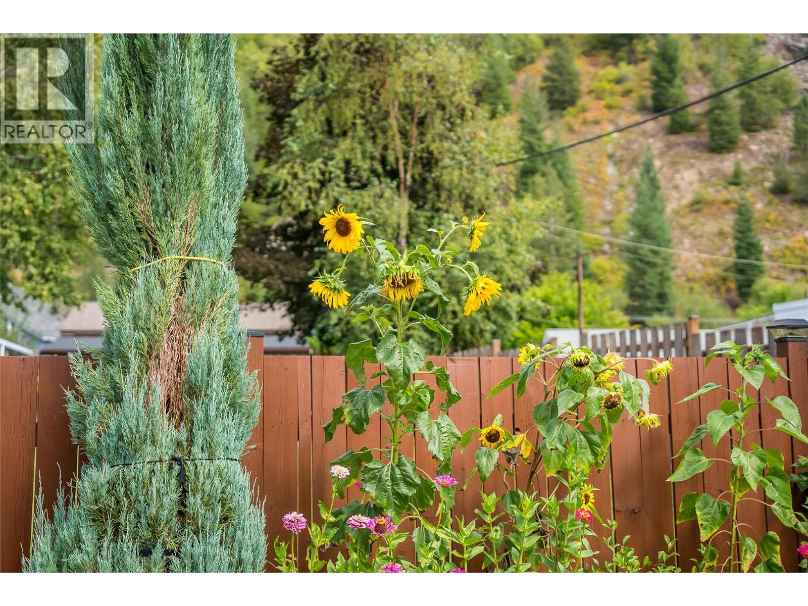 204 Diana Crescent, Trail, British Columbia  V1R 1A3 - Photo 44 - 10399688