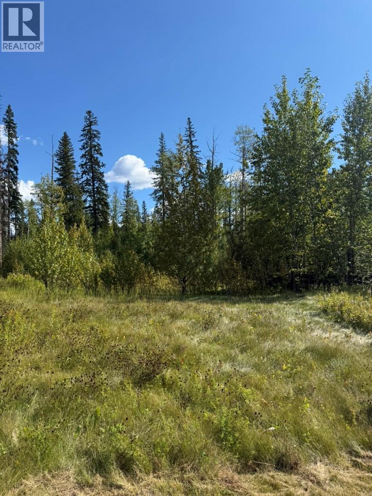 111 Kinuseo Avenue, Tumbler Ridge, British Columbia  V0C 2W0 - Photo 2 - 10399926