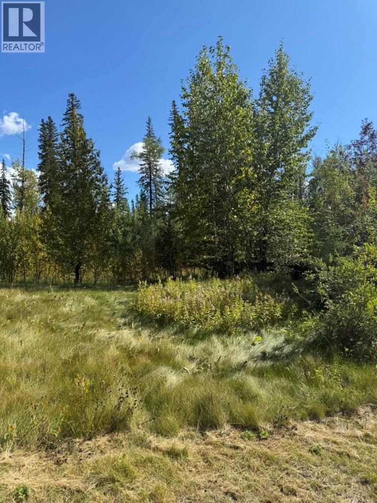111 Kinuseo Avenue, Tumbler Ridge, British Columbia  V0C 2W0 - Photo 3 - 10399926