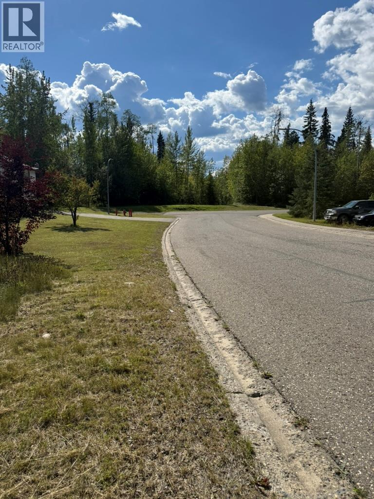 111 Kinuseo Avenue, Tumbler Ridge, British Columbia  V0C 2W0 - Photo 4 - 10399926