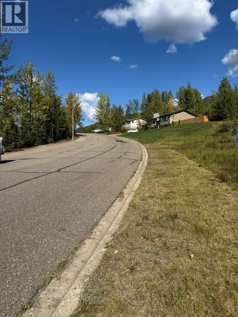 111 Kinuseo Avenue, Tumbler Ridge, British Columbia  V0C 2W0 - Photo 5 - 10399926