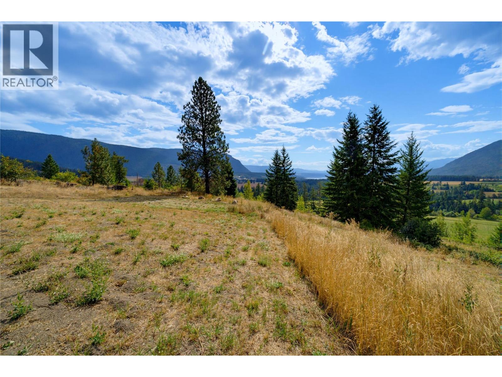 2708 Sunridge Place, Tappen, British Columbia  V0E 2X3 - Photo 83 - 10399675