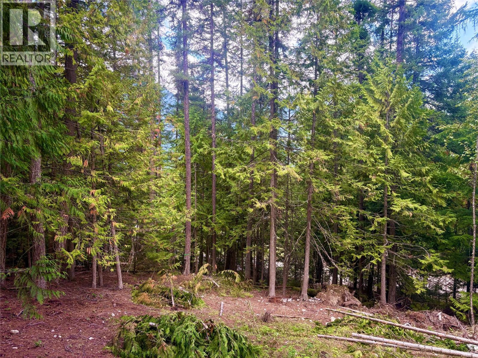 879 Lewis Road, Harrop, British Columbia  V1L 6P7 - Photo 32 - 10399884