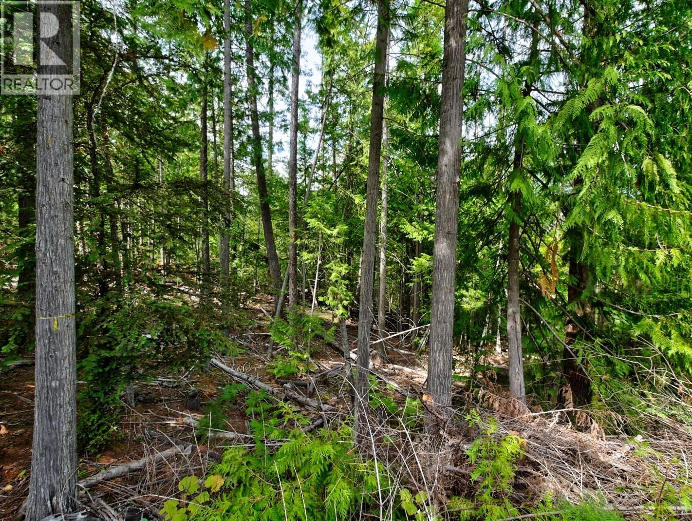 Lasca Creek Road Lot# 1, Harrop, British Columbia  V1L 6P7 - Photo 11 - 10399981