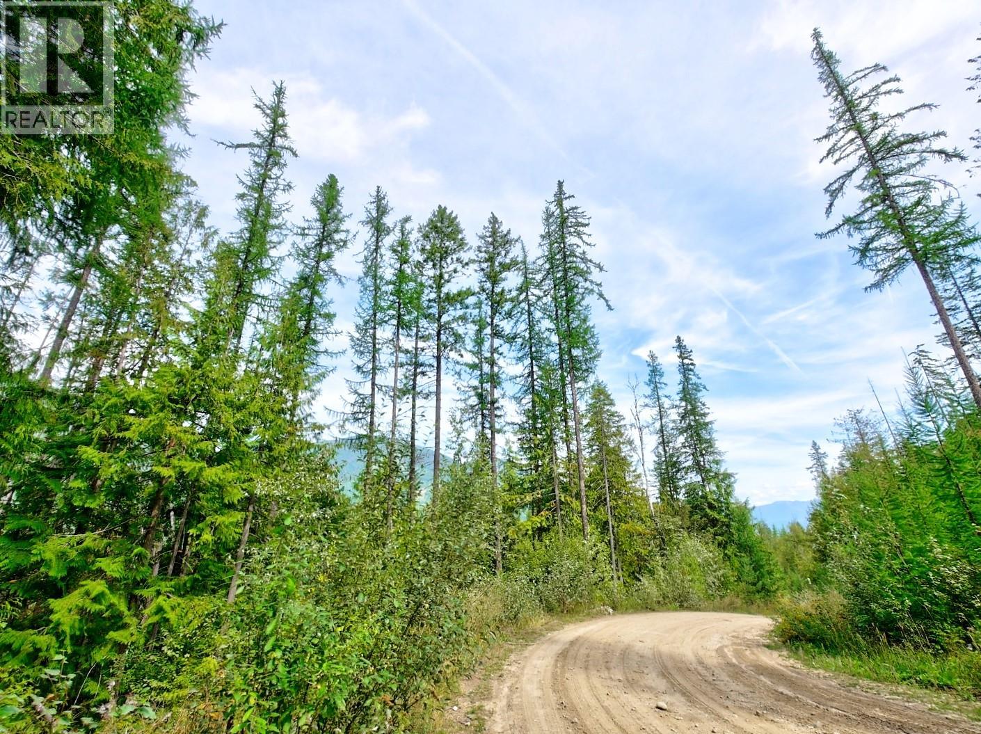Lasca Creek Road Lot# 1, Harrop, British Columbia  V1L 6P7 - Photo 7 - 10399981