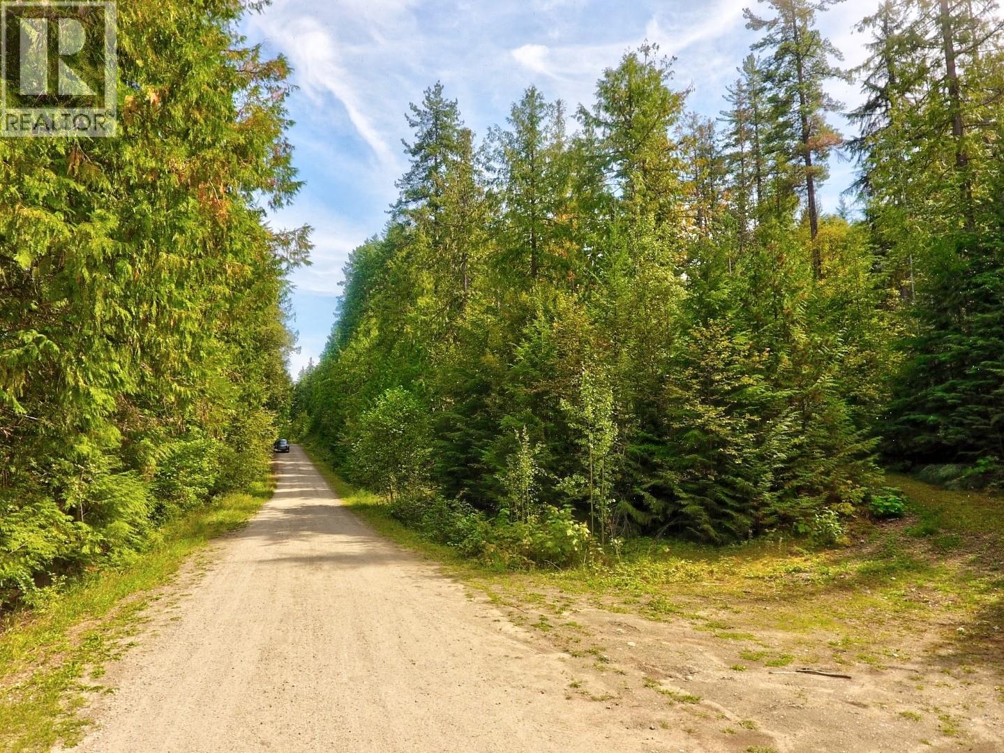 Lasca Creek Road Lot# 1, Harrop, British Columbia  V1L 6P7 - Photo 8 - 10399981