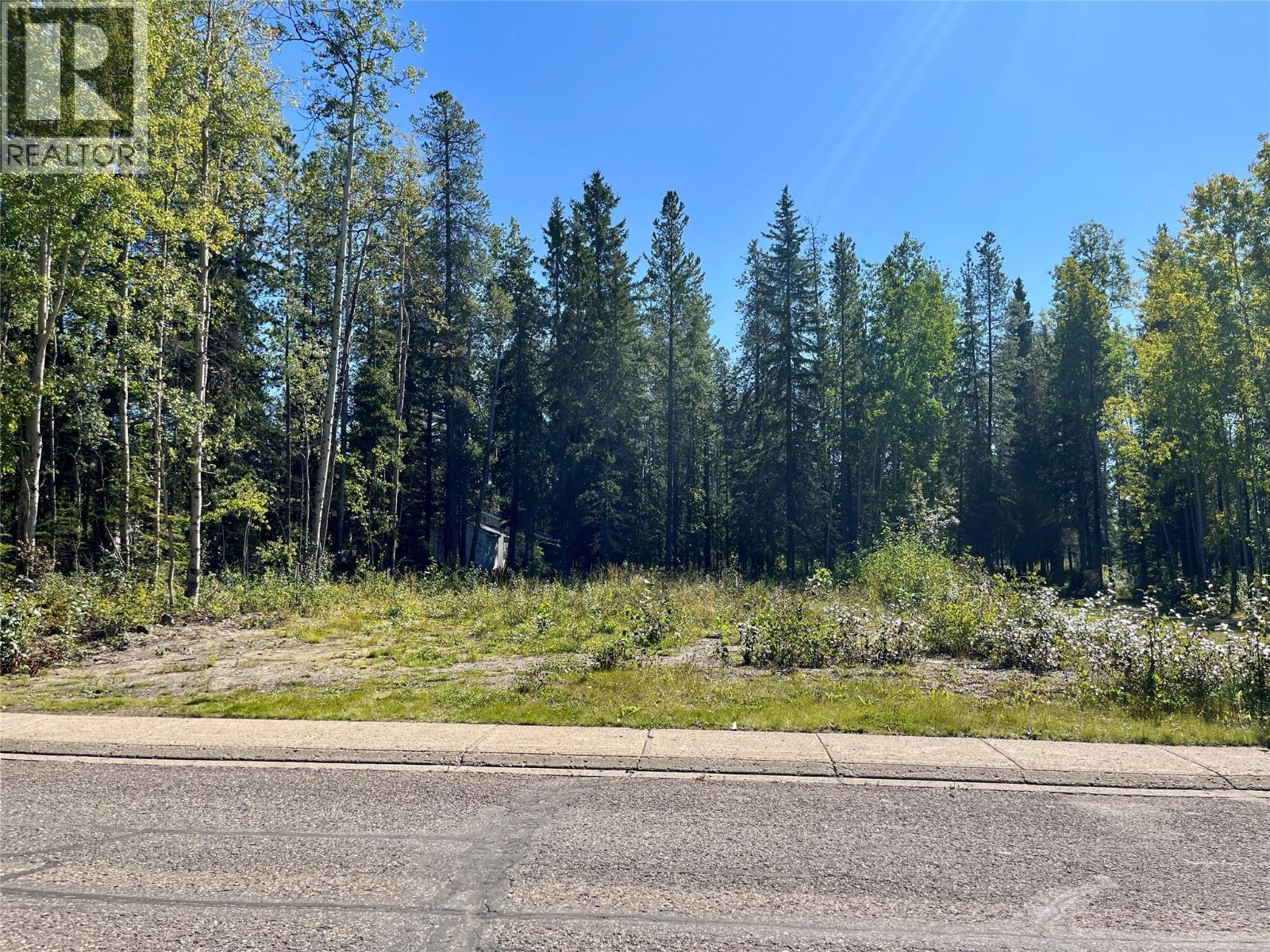 115 Red Willow Avenue, Tumbler Ridge, British Columbia  V0C 2W0 - Photo 1 - 10400119