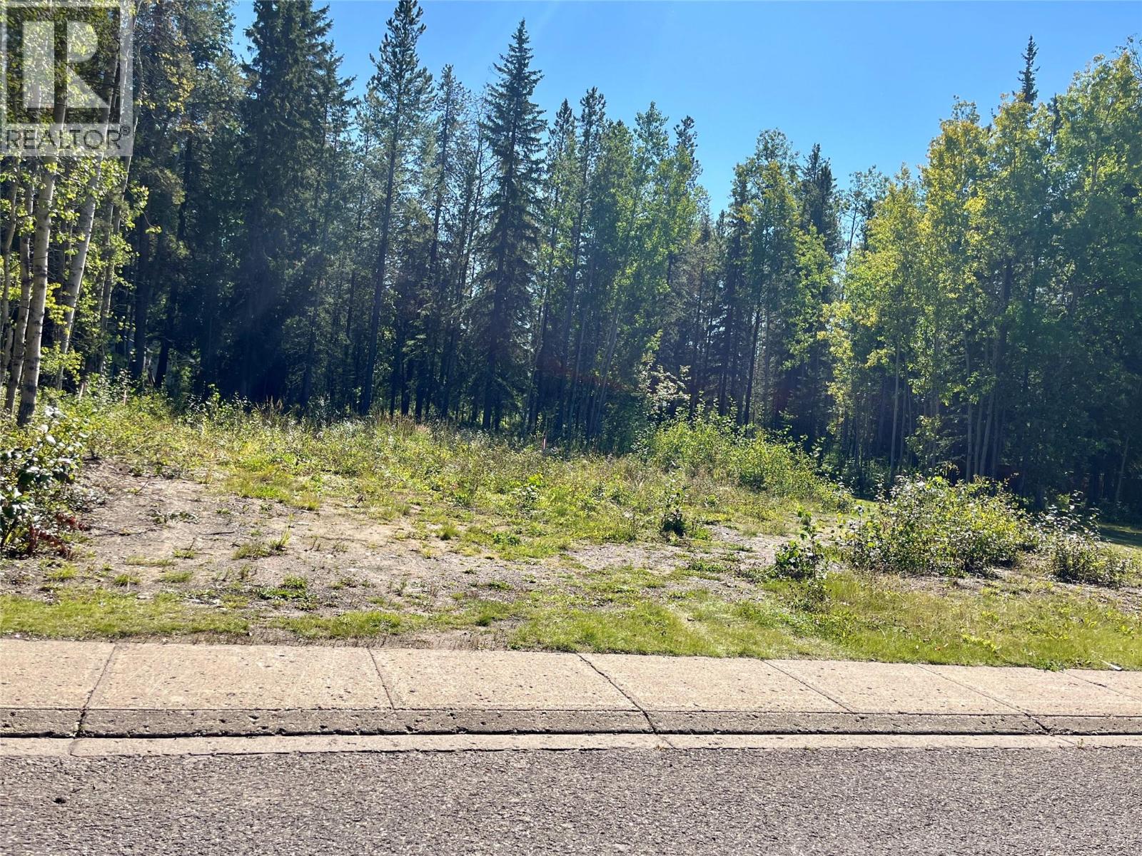 115 Red Willow Avenue, Tumbler Ridge, British Columbia  V0C 2W0 - Photo 3 - 10400119