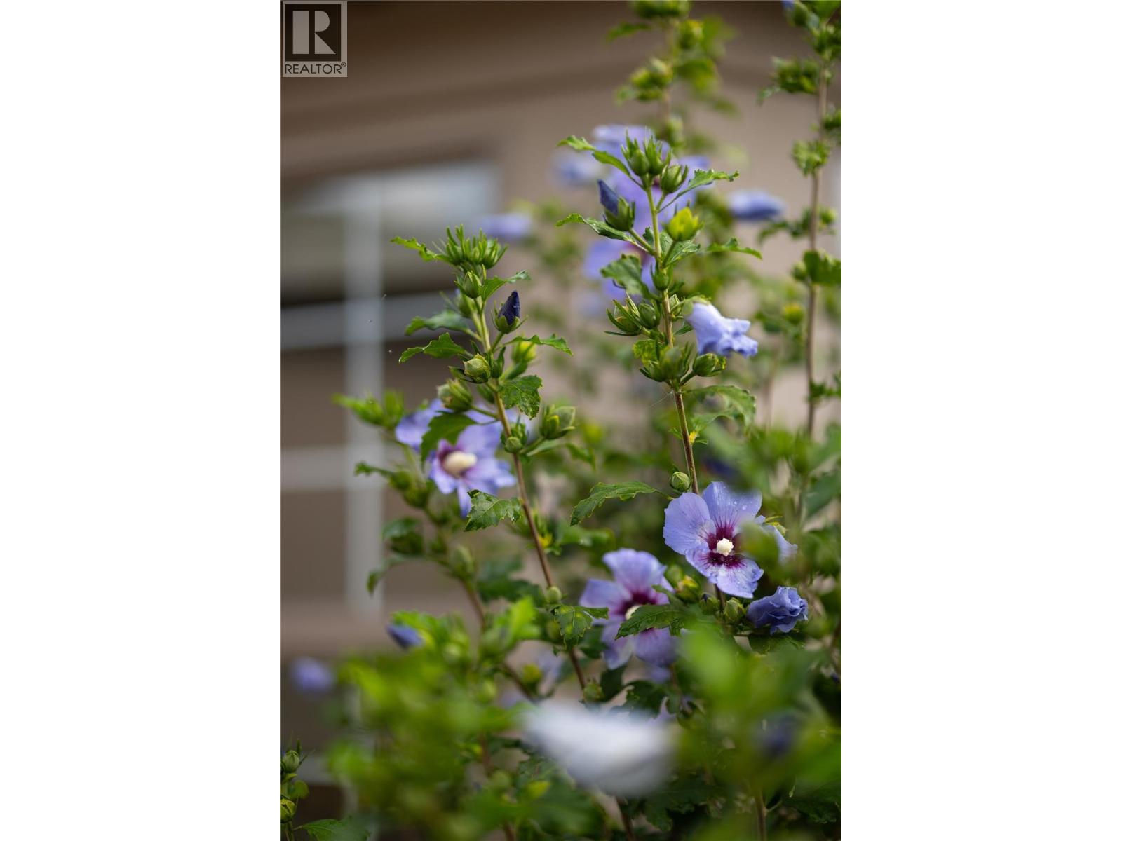 595 Yates Road Unit# 72, Kelowna, British Columbia  V1V 1P8 - Photo 60 - 10398542