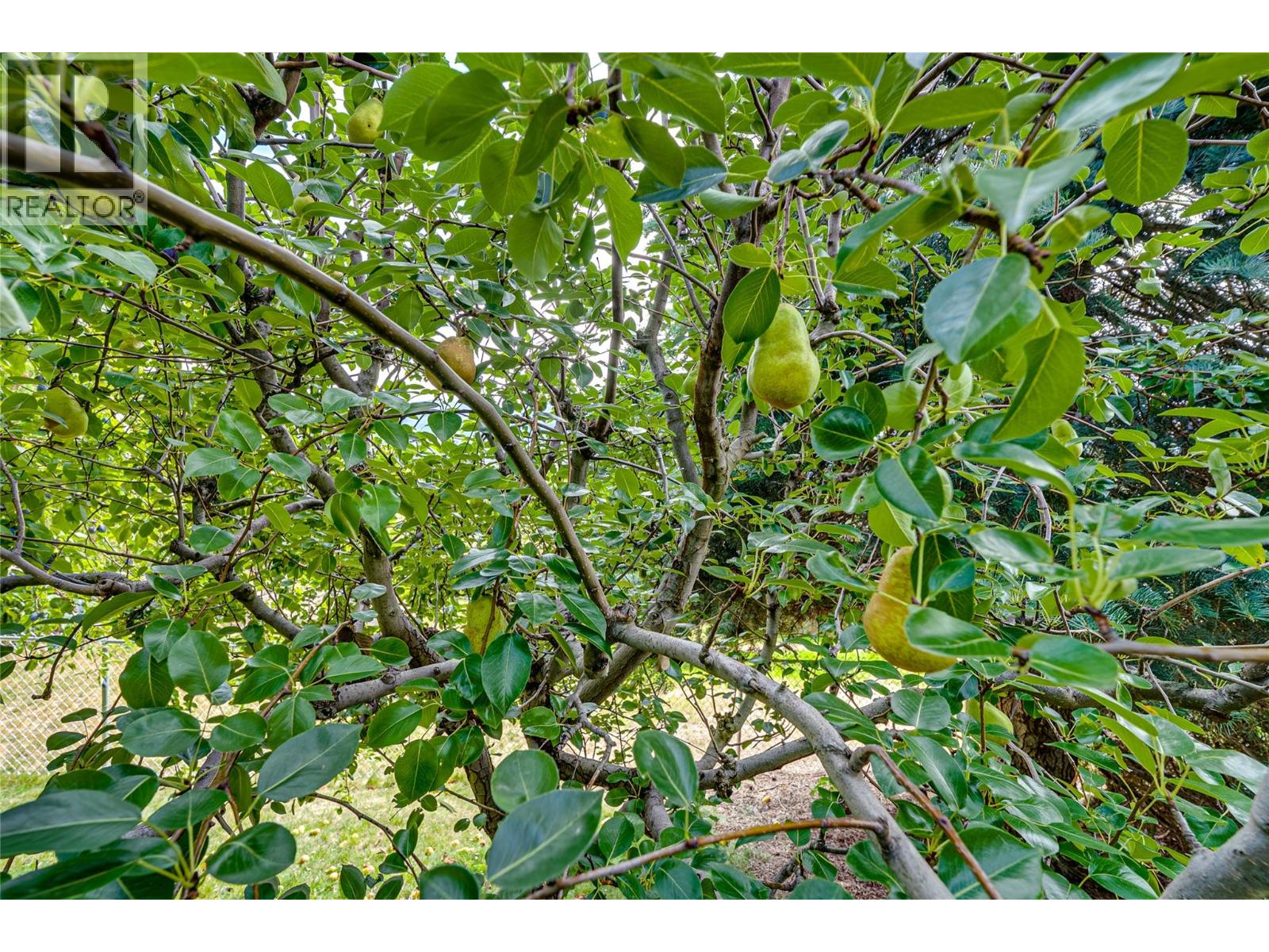 6656 Goose Lake Road, Vernon, British Columbia  V1H 1W2 - Photo 62 - 10399822