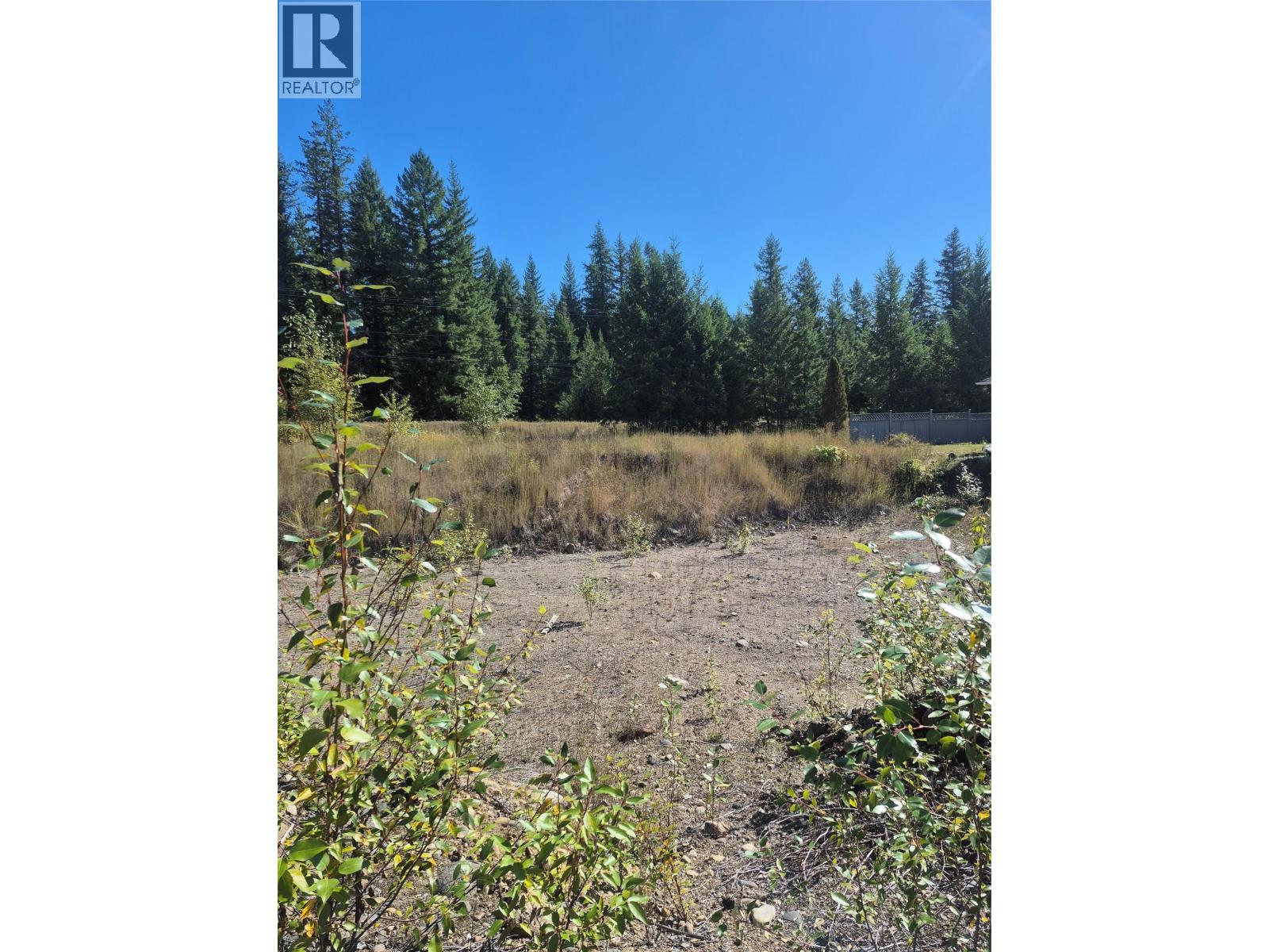 473 Lytton Crescent, Clearwater, British Columbia  V0E 1N2 - Photo 3 - 10399568