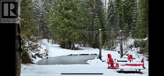 1960 Palumbo Heights Drive, Golden, British Columbia  V0A 1H4 - Photo 65 - 10400121