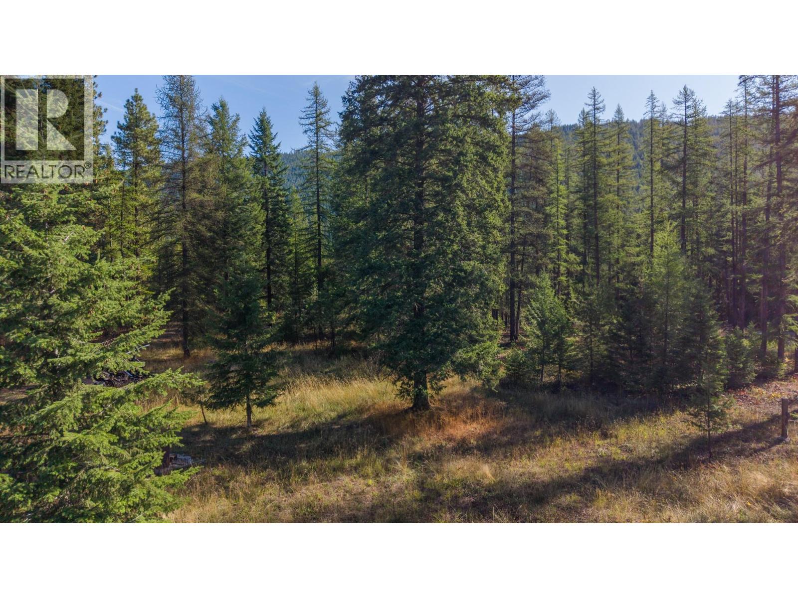 1368 Wenger Road, Arrow Creek, British Columbia  V0B 1G9 - Photo 12 - 10400236