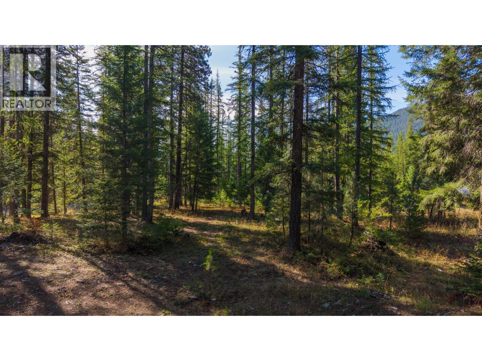 1368 Wenger Road, Arrow Creek, British Columbia  V0B 1G9 - Photo 20 - 10400236