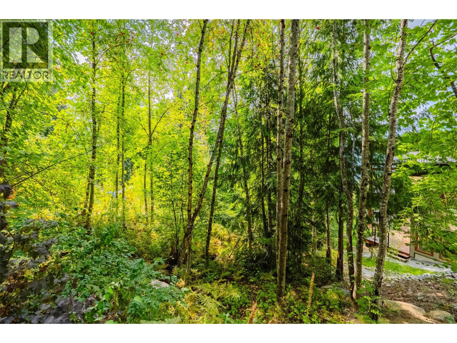 1409 Ash Street, Nelson, British Columbia  V1L 2J3 - Photo 71 - 10400377