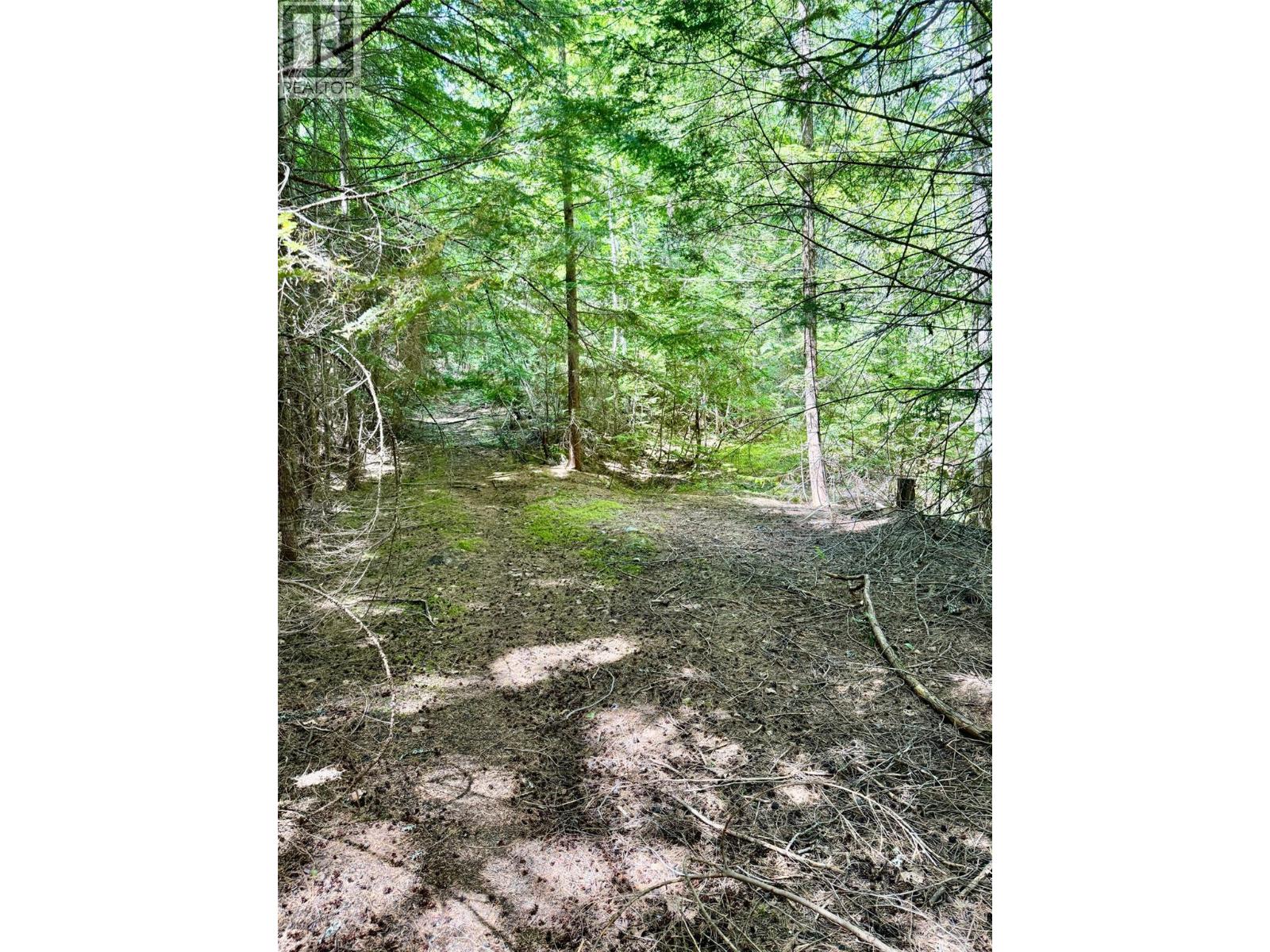 4019 Saunders & District Lot 13097 Road, Passmore, British Columbia  V0G 2J0 - Photo 24 - 10399942