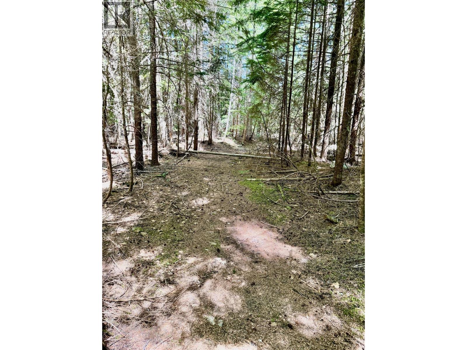 4019 Saunders & District Lot 13097 Road, Passmore, British Columbia  V0G 2J0 - Photo 25 - 10399942