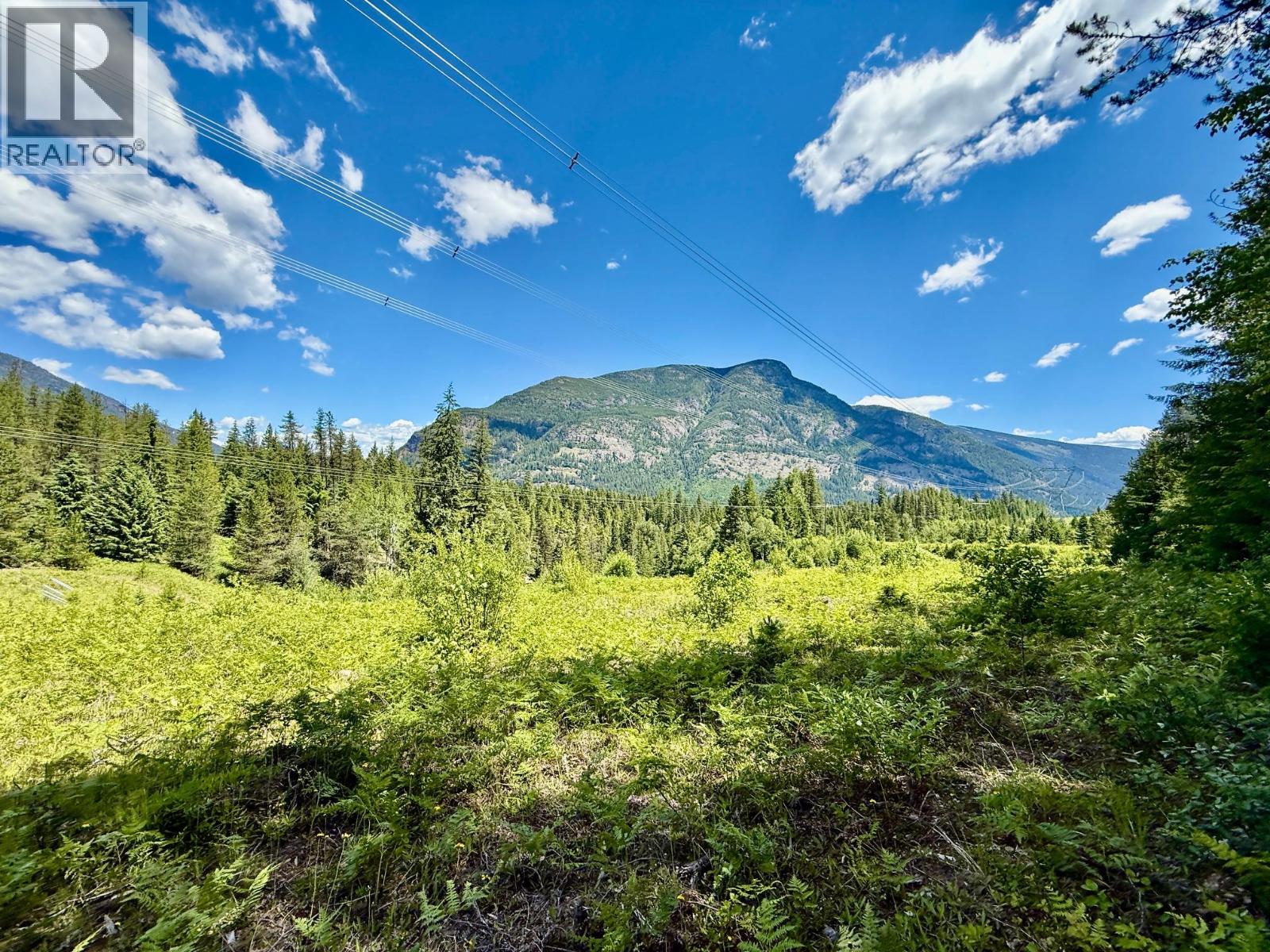 4019 Saunders & District Lot 13097 Road, Passmore, British Columbia  V0G 2J0 - Photo 26 - 10399942