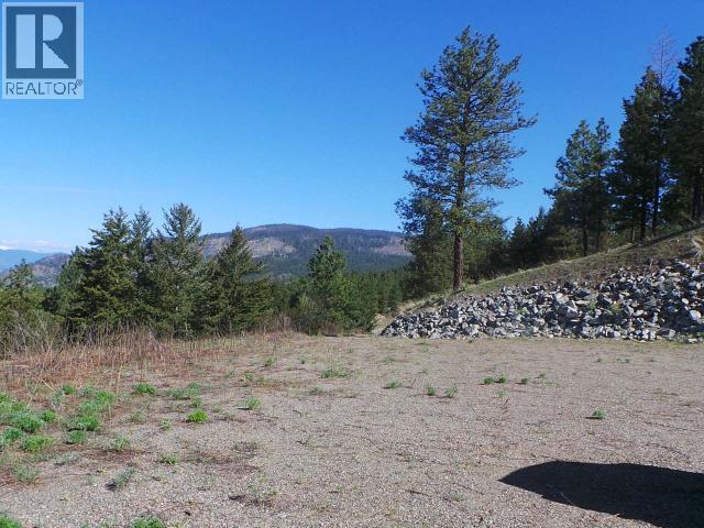 290 Mule Deer Drive, Osoyoos, British Columbia  V0H 1V5 - Photo 6 - 10400238