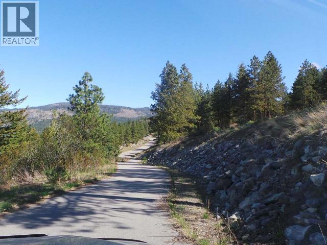 290 Mule Deer Drive, Osoyoos, British Columbia  V0H 1V5 - Photo 8 - 10400238