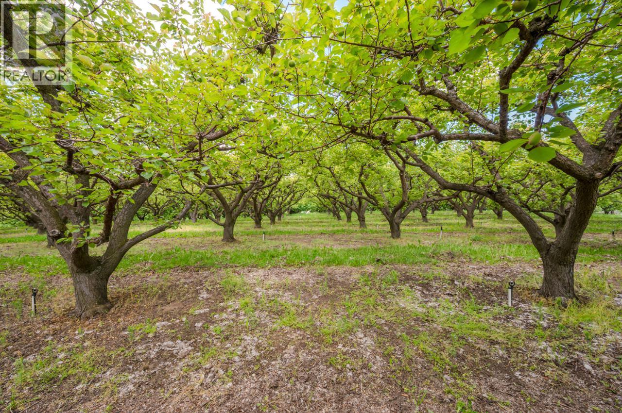 150 Upper Bench Road N, Penticton, British Columbia  V2A 8T4 - Photo 4 - 10399328