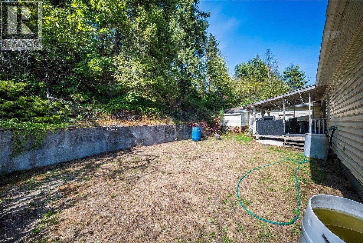 2512 Columbia Avenue, Castlegar, British Columbia  V1N 2X5 - Photo 10 - 10400343