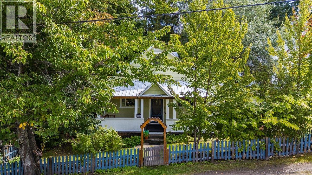 262 2nd Avenue, Procter, British Columbia  V1L 0B7 - Photo 32 - 10393559