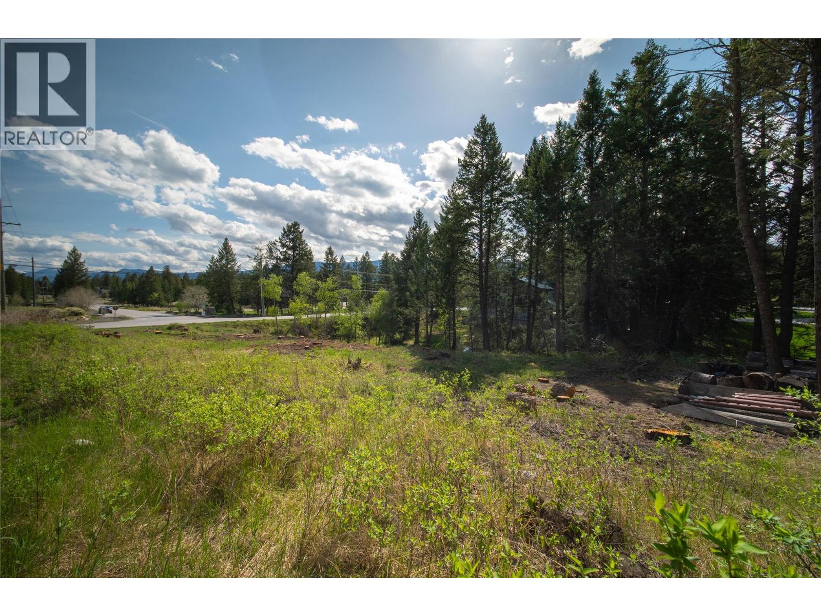 Lot 35 Timber Ridge Road, Windermere, British Columbia  V0A 1K3 - Photo 17 - 10400570