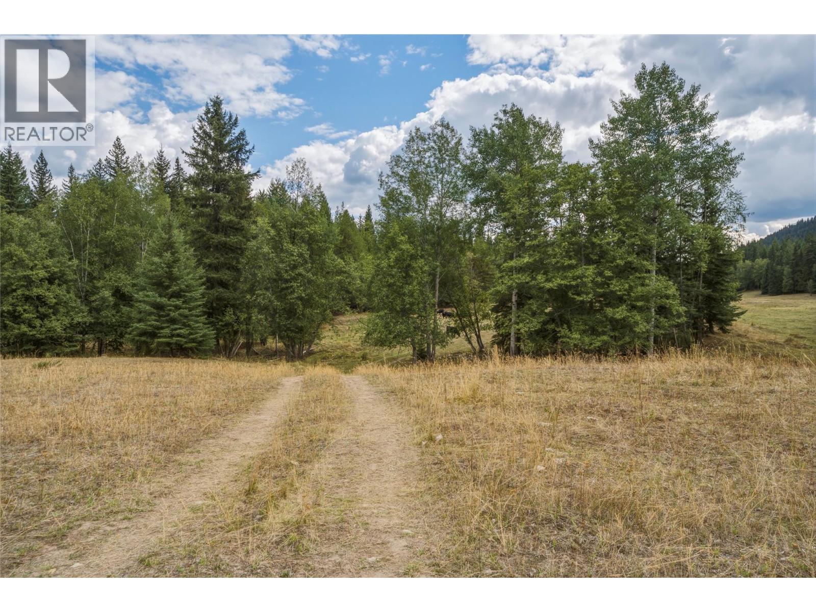 6860 Martin Prairie Road Lot# 1/4 Se, Falkland, British Columbia  V0E 1W1 - Photo 21 - 10400258