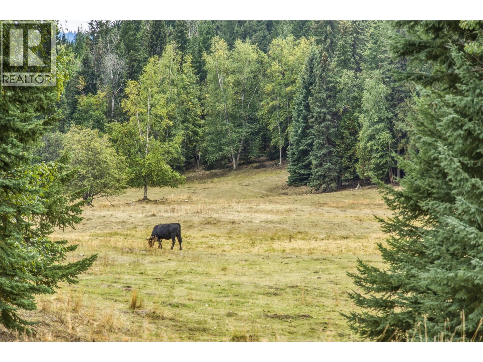 6860 Martin Prairie Road Lot# 1/4 Se, Falkland, British Columbia  V0E 1W1 - Photo 22 - 10400258
