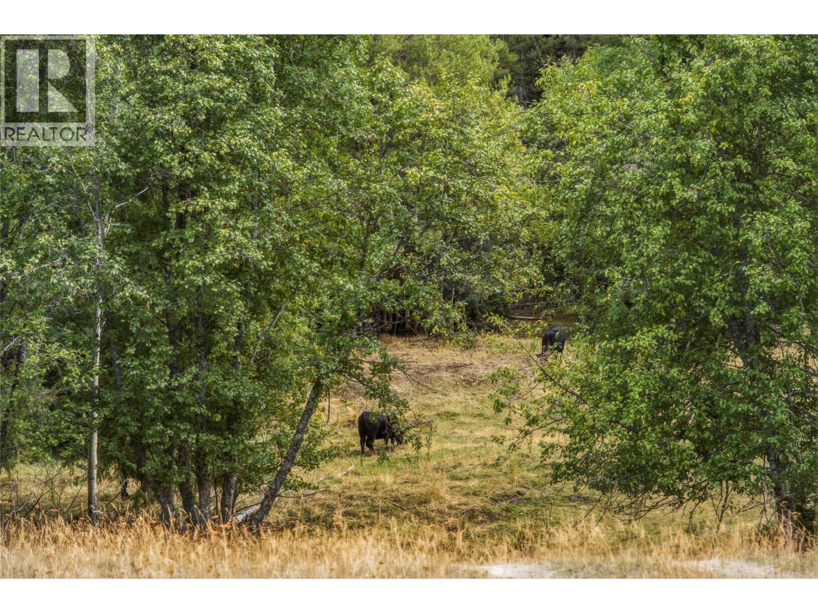 6860 Martin Prairie Road Lot# 1/4 Se, Falkland, British Columbia  V0E 1W1 - Photo 23 - 10400258