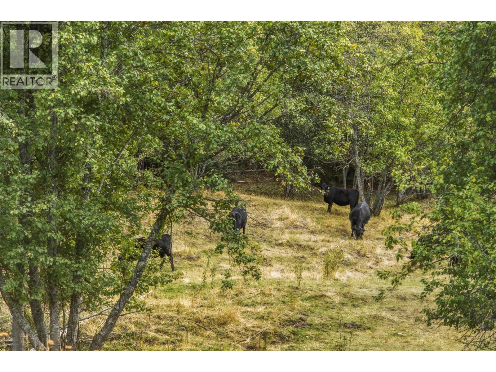 6860 Martin Prairie Road Lot# 1/4 Se, Falkland, British Columbia  V0E 1W1 - Photo 26 - 10400258