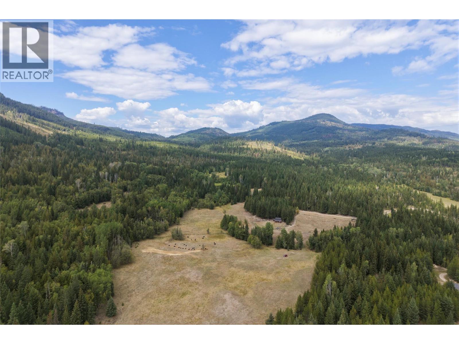 6860 Martin Prairie Road Lot# 1/4 Se, Falkland, British Columbia  V0E 1W1 - Photo 30 - 10400258