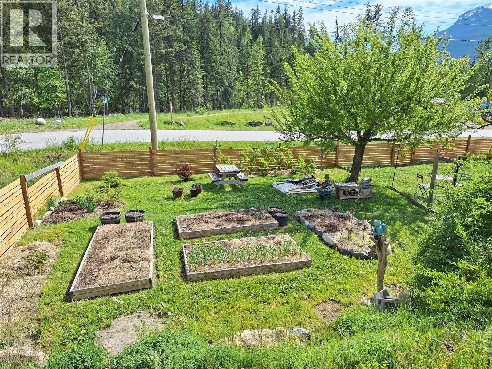 624 Slocan Avenue, New Denver, British Columbia  V0G 1S0 - Photo 3 - 10399574