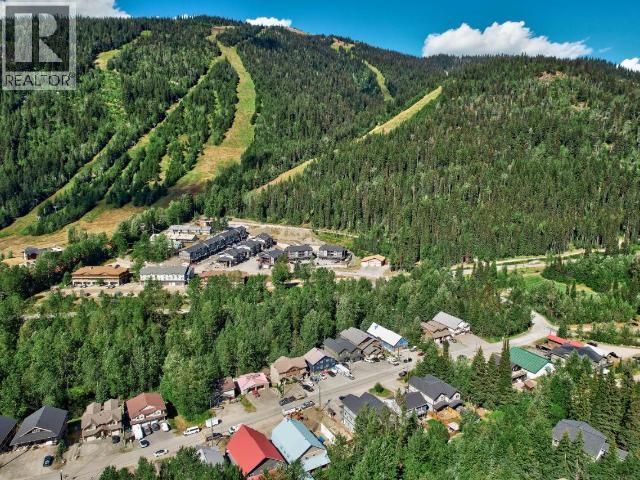 1347 Burfield Drive, Sun Peaks, British Columbia  V0E 5N0 - Photo 38 - 10400630