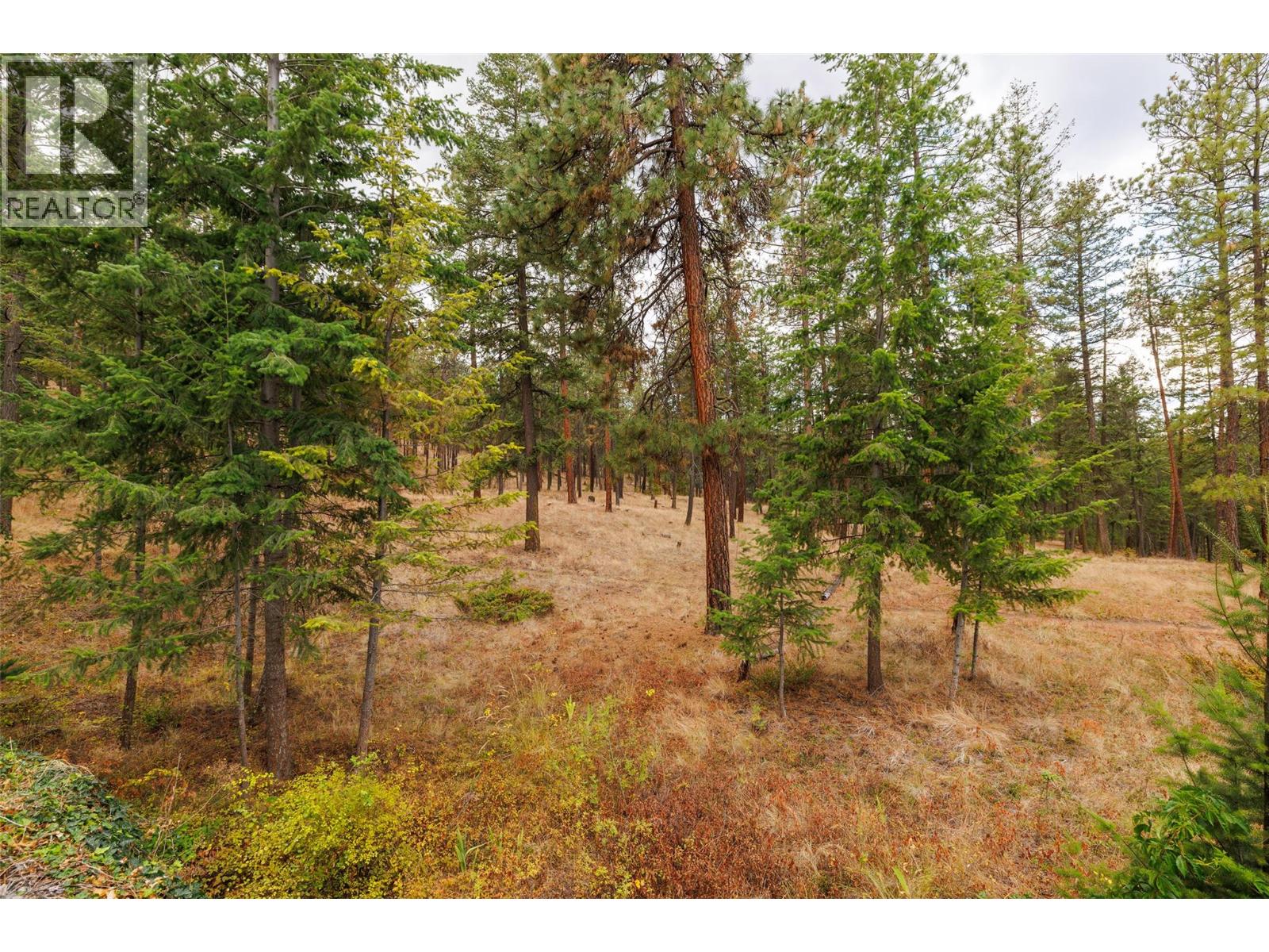 4170 Gallaghers Forest South, Kelowna, British Columbia  V1W 5E4 - Photo 63 - 10400623