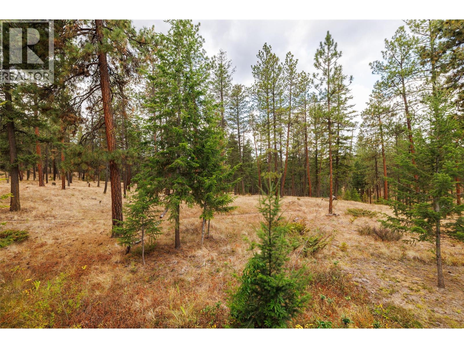 4170 Gallaghers Forest South, Kelowna, British Columbia  V1W 5E4 - Photo 64 - 10400623