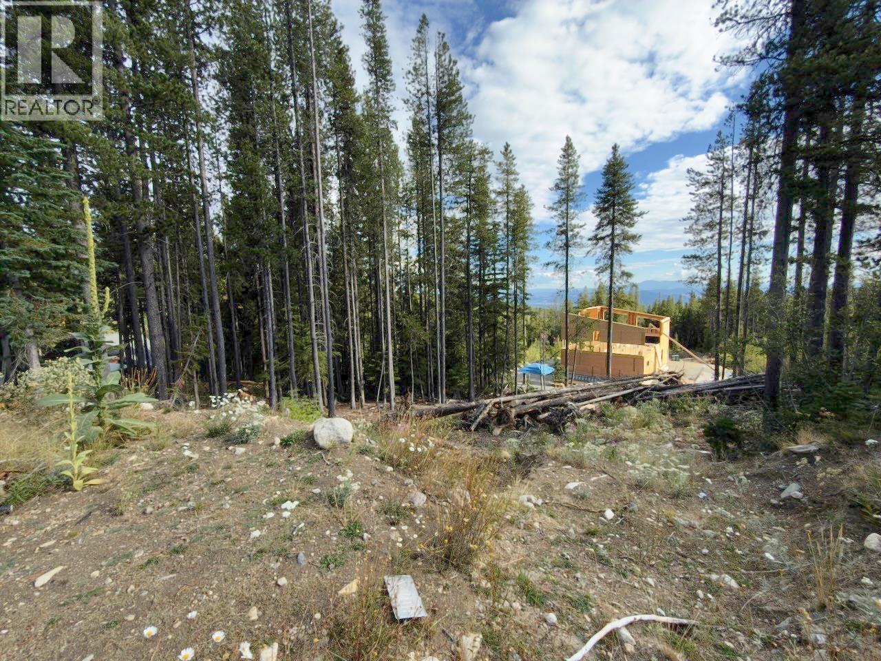 300 Cougar Road, Oliver, British Columbia  V0H 1T8 - Photo 20 - 10400705