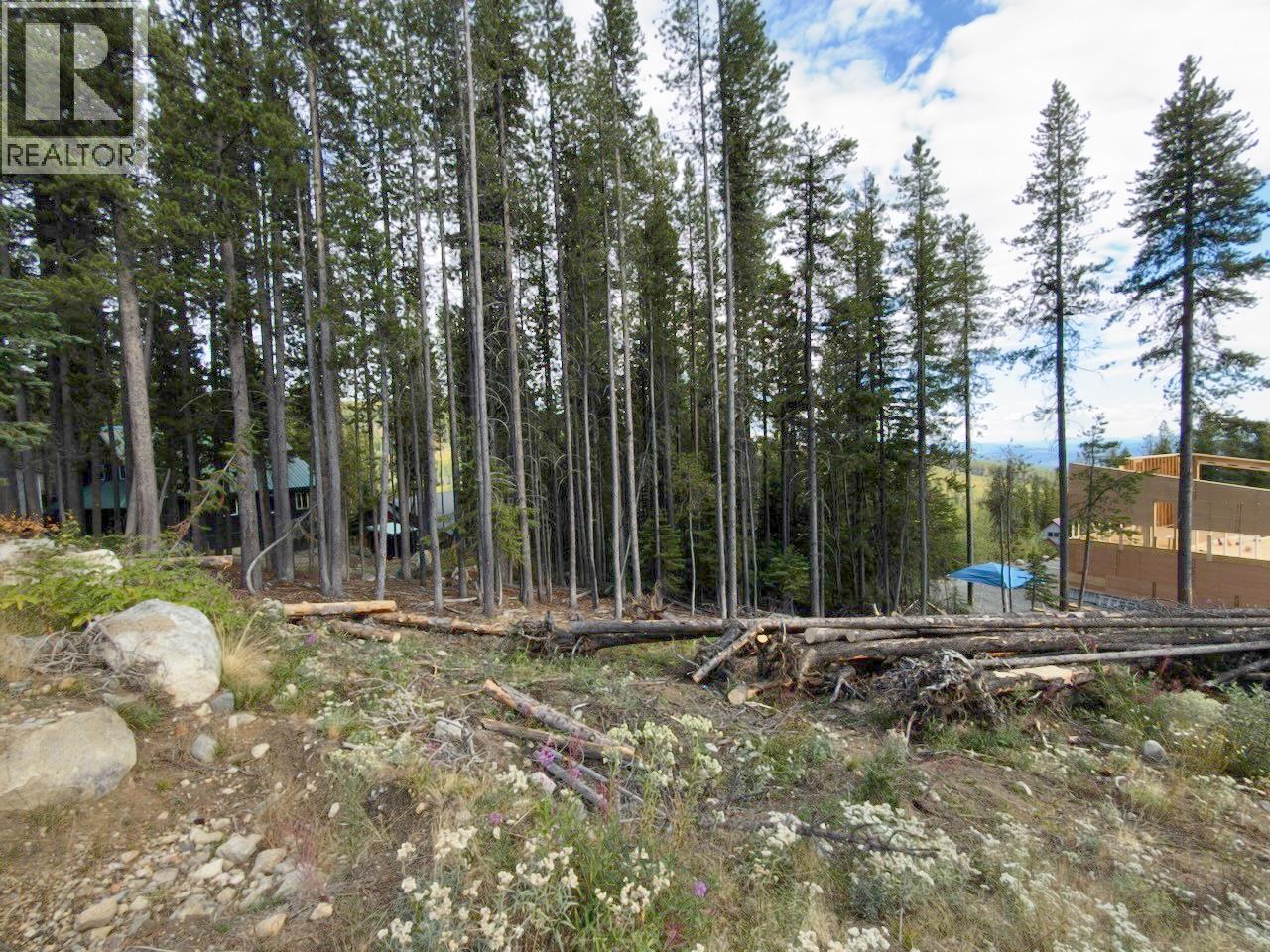 300 Cougar Road, Oliver, British Columbia  V0H 1T8 - Photo 22 - 10400705